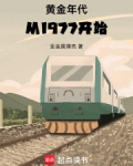 黄金年代从1977开始全金属