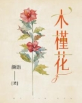木槿花