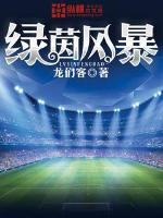 绿茵风暴笔趣阁在线阅读