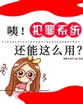 咦！犯罪系统还能这么用?