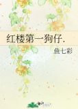 红楼第一狗仔.
